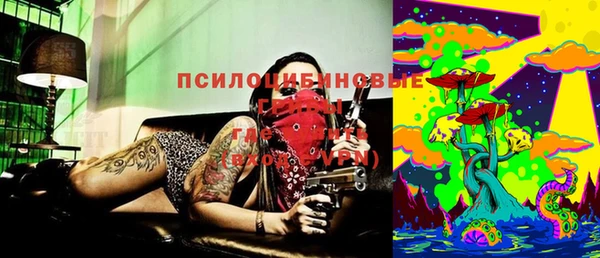 мдпв Балахна