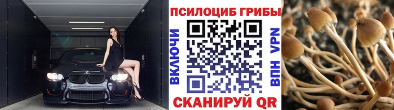 купить   МЕГА как войти  Псилоцибиновые грибы MAGIC MUSHROOMS  Невель 